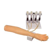 Erler Zimmer Training Arm for Intravenous Injection and Infusion