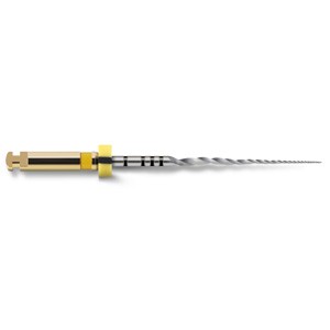 Protaper Next X1 21mm