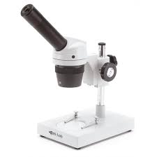 Microscope, Stereo Monocular