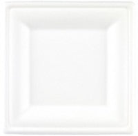 Square Bagasse 10.5" Plates Compostable for 250