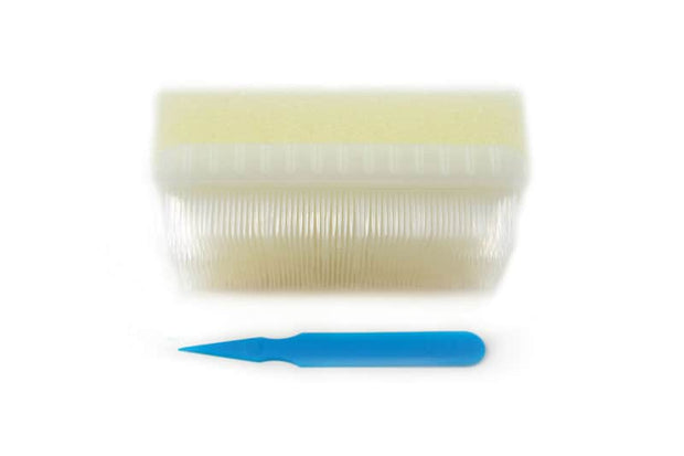 Pre-operative Chlorhexidine Impregnated Scrub Brushes - Pack of 25