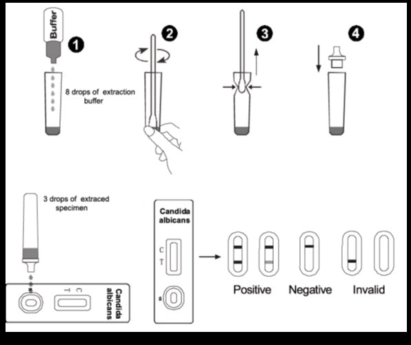 Candida Infection Vaginal Swab Test