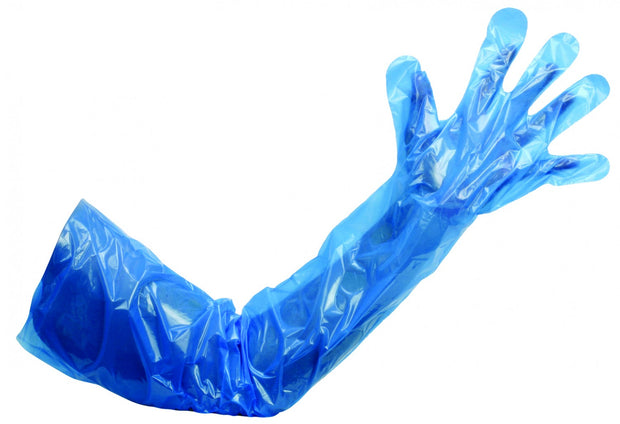 Premier Poly Gauntlet Blue - Pack of 50