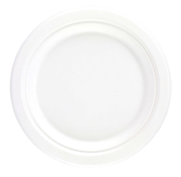 Bagasse 10" Plates Compostable for 500
